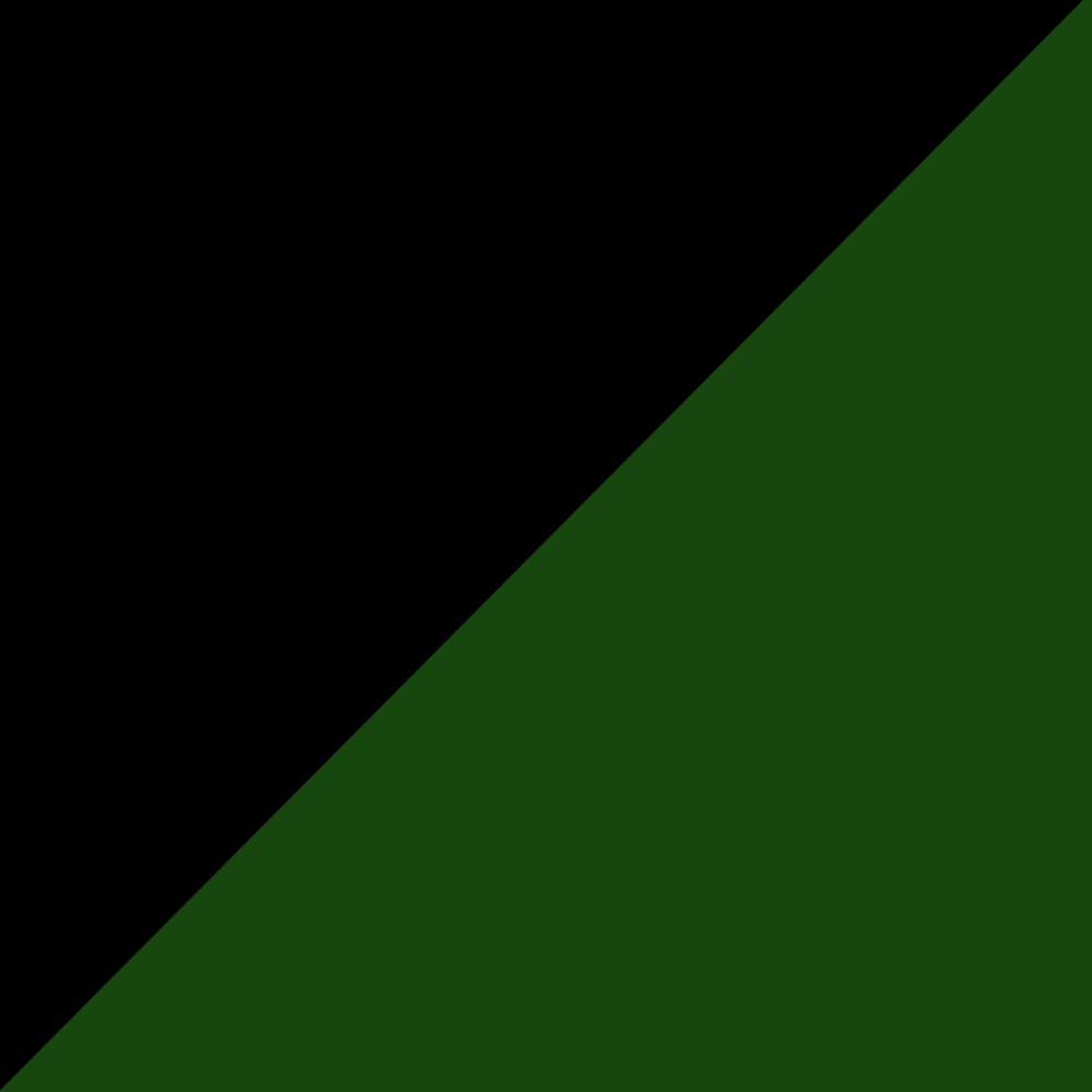 20" black and Dark green