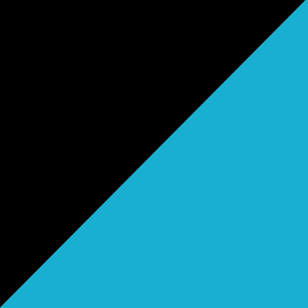24" black and teal